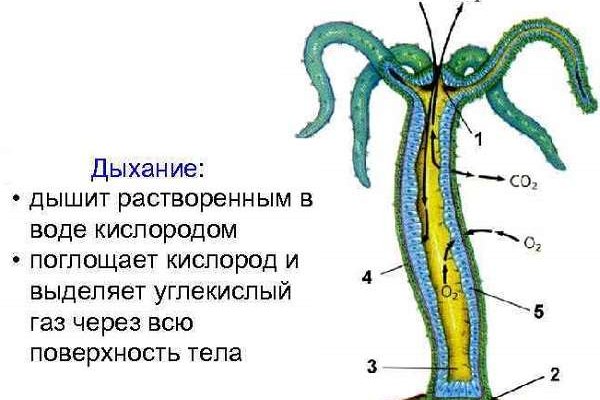 Mega darknet market ссылка